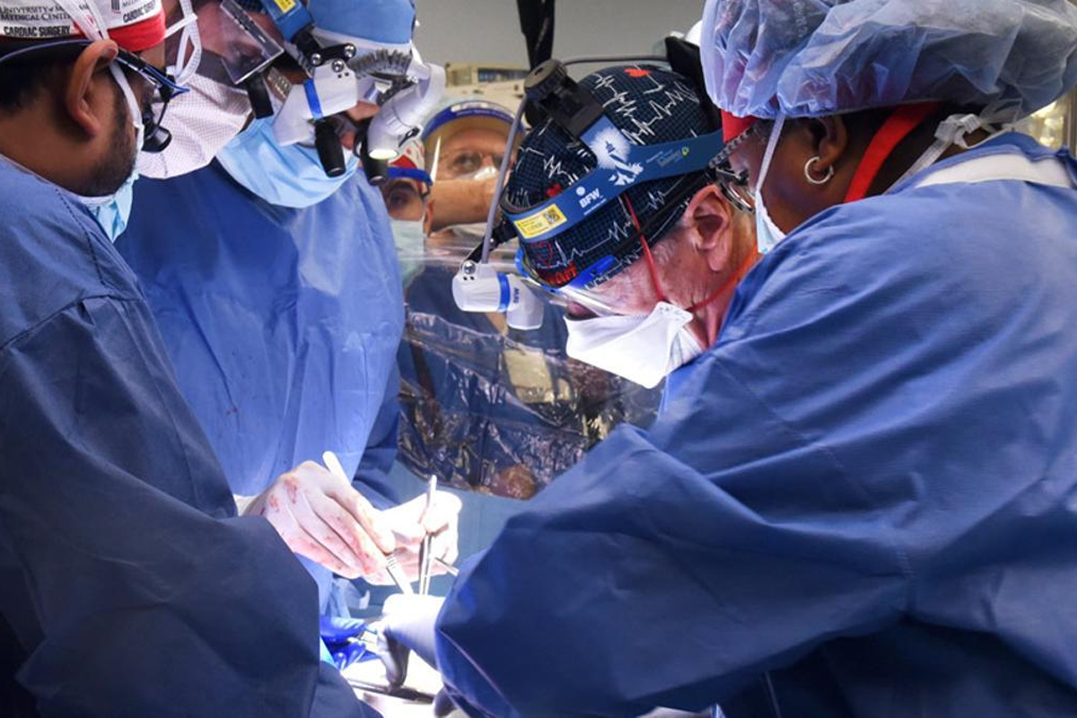 trasplante, corazón de cerdo, ciencia, Red Latina